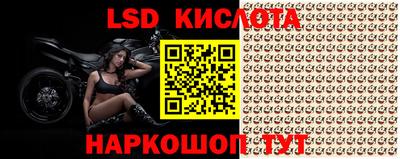 эйфоретик Боровичи