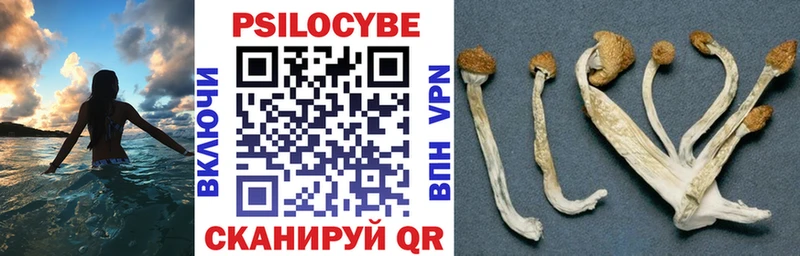 купить наркотик  Белебей  Галлюциногенные грибы Cubensis 