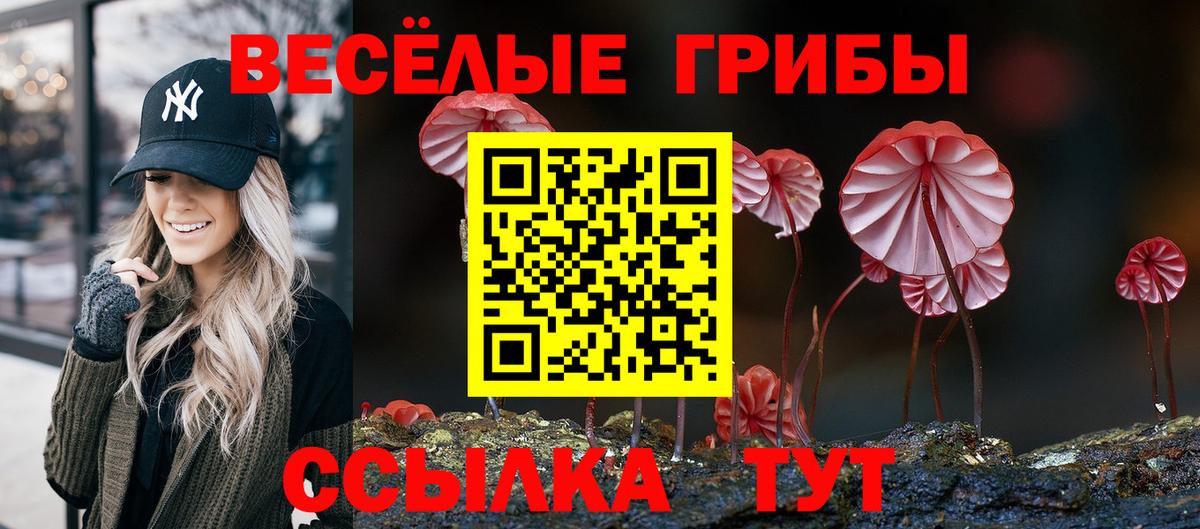 Псилоцибиновые грибы прущие грибы Белебей